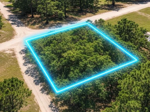 7 SE Pleasure Pl, Lake City, FL 32025