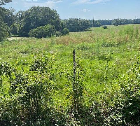 2nd image of 104 County Road 113