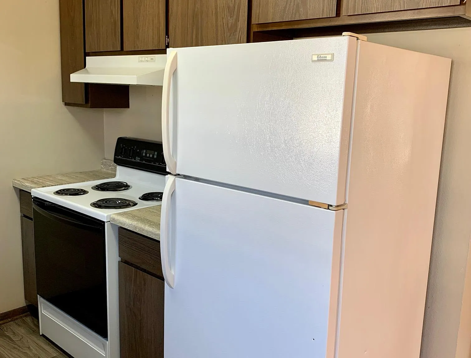 2 bed, 1.5 bath, 1300 sqft, $1,000 — Photo 4