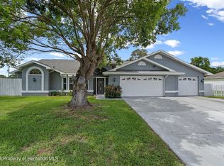 11313 Palomar St, Spring Hill, FL 34609