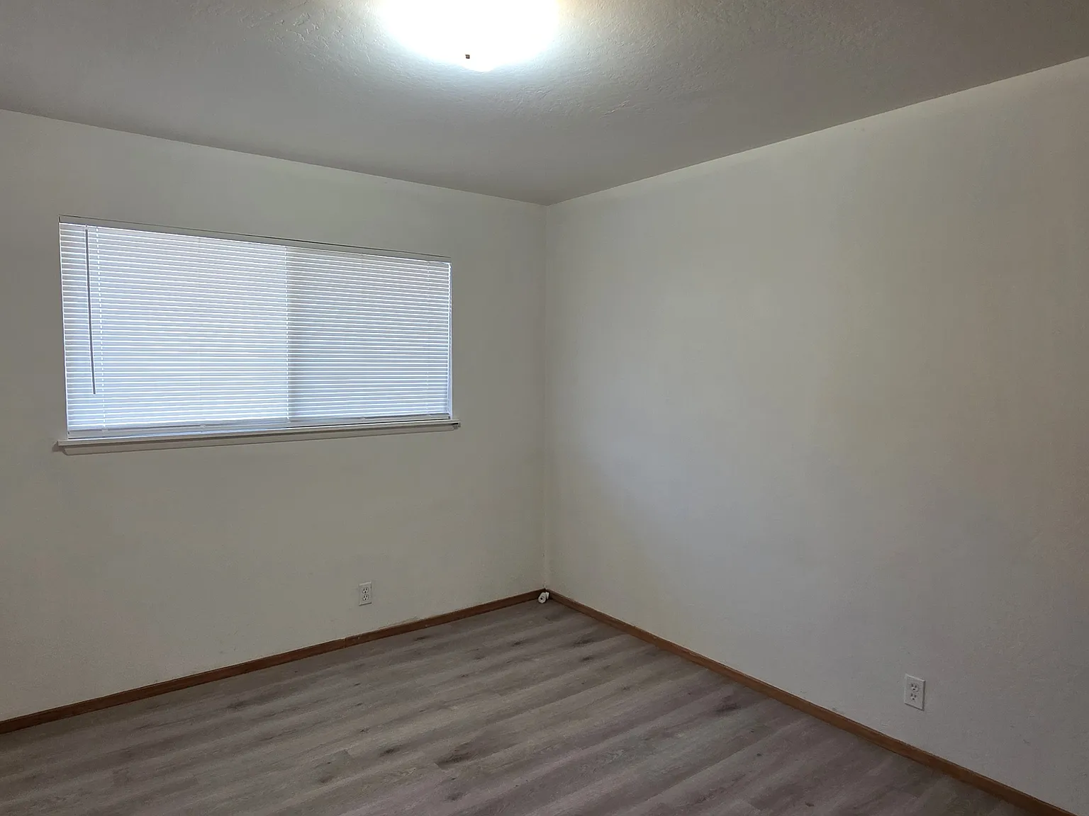1 bed, $1,850 — Photo 3