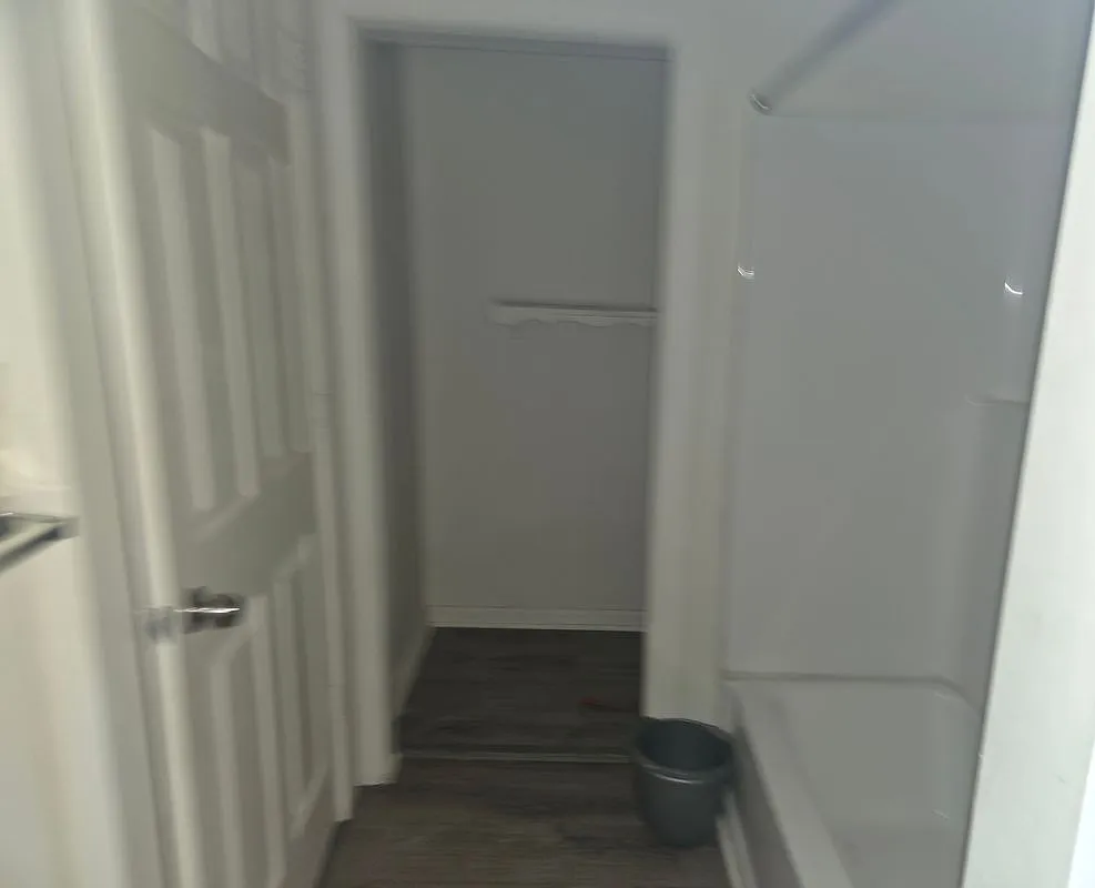 3 bed, 1.0 bath, 1024 sqft, $1,900 — Photo 4