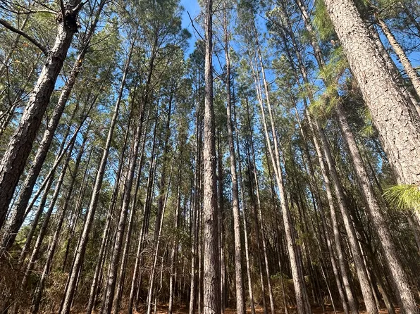 1150 County Road 88, Black, AL 36314