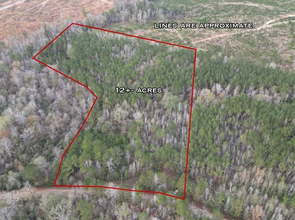 57 Mose Hilliard Rd, Sontag, MS 39665