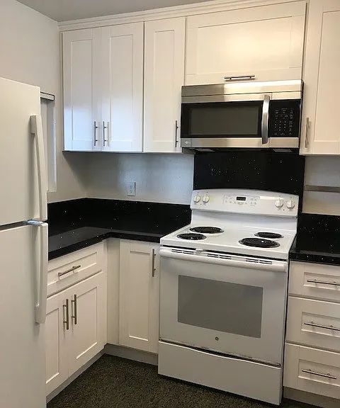 7405 Charmant Dr #1925 — Photo 4