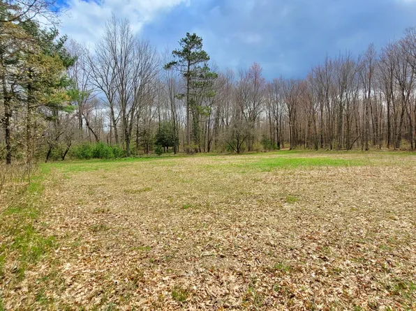 1540 E Van Buren St, White Cloud, MI 49349