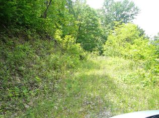 1676 Brush Creek Rd, Bryson City, NC 28713