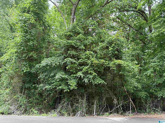 3rd image of LOT 65 Ashborough Dr