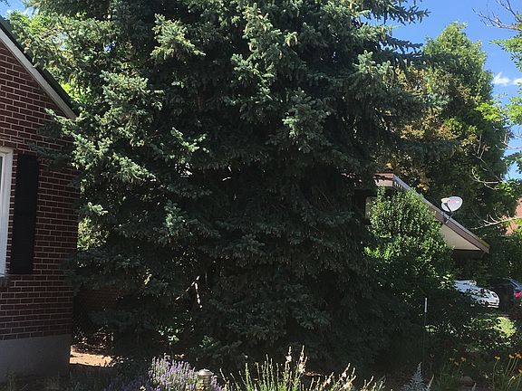 5th image of 3450 S 1100 E