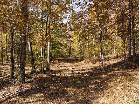 2nd image of 0 Wildcat Rd