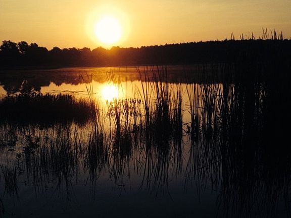Sunrise on the lake