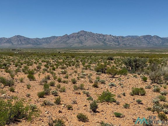 4th image of Yucca Ln