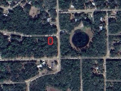 McCall St Lot 13, Interlachen, FL, 32148