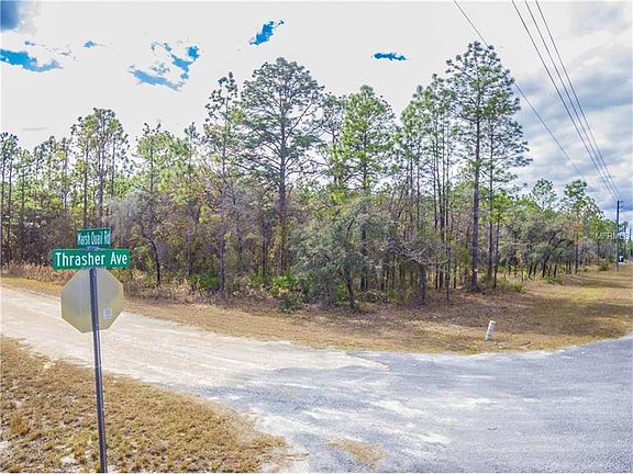 4th image of 11158 Thrasher Ave