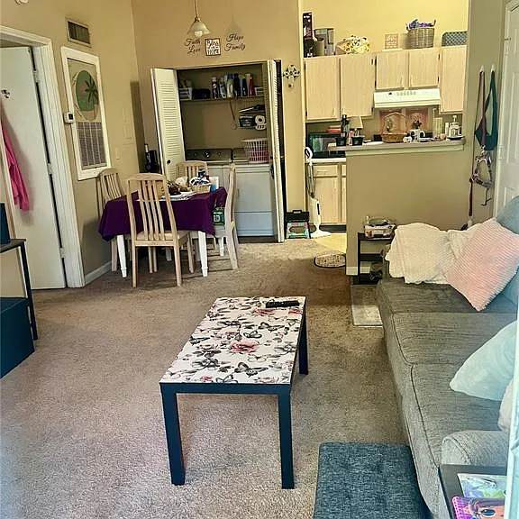709 Secret Harbor Ln #205 — Photo 5
