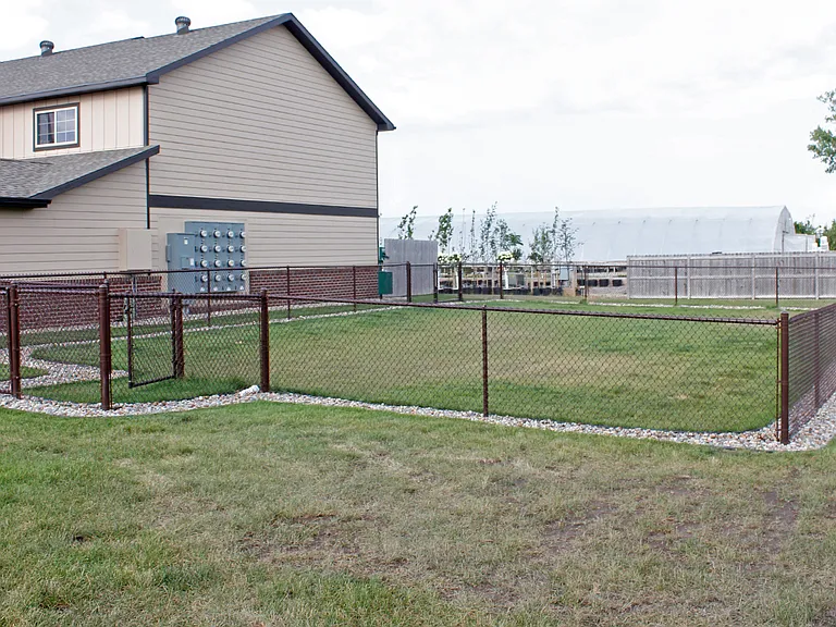 Dog Park