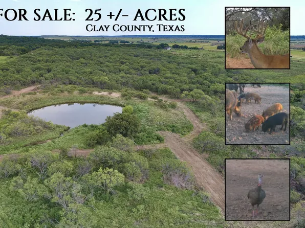 Gifford Rd, Bowie, TX 76230