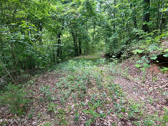 4th image of 240-242 Laurel Mountain Rd