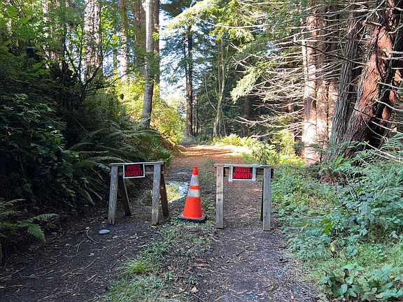 4th image of 7305 Berta Rd