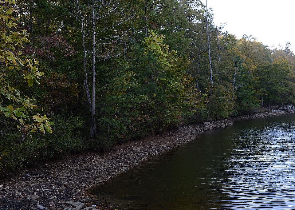 110 Ft of water