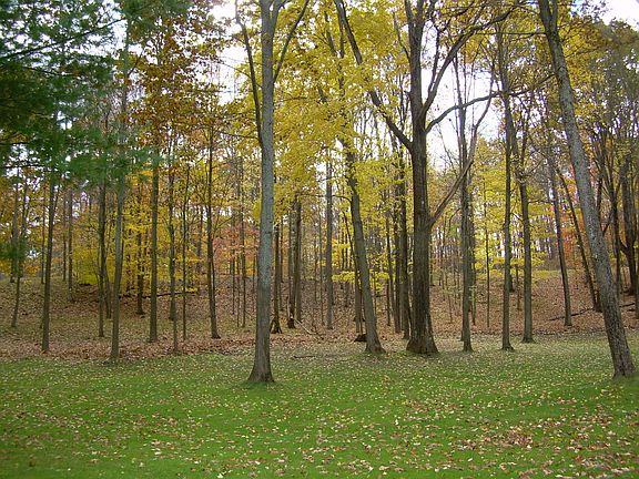 Lot view from golf course. 