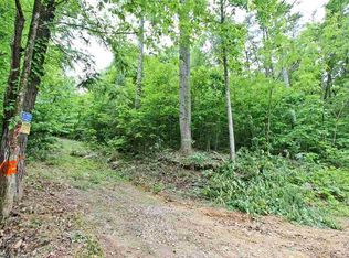 Neddy Mountain Rd, Del Rio, TN 37727