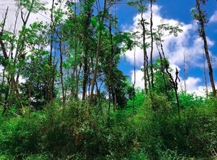 Pakalana Rd LOT 194, Pahoa, HI 96778