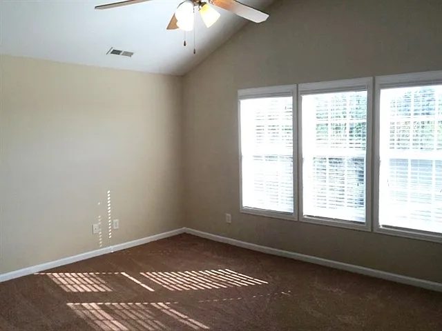 3919 Carolina Cherry Dr — Photo 7
