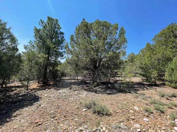 7 B 3 #1, Tierra Amarilla, NM 87575