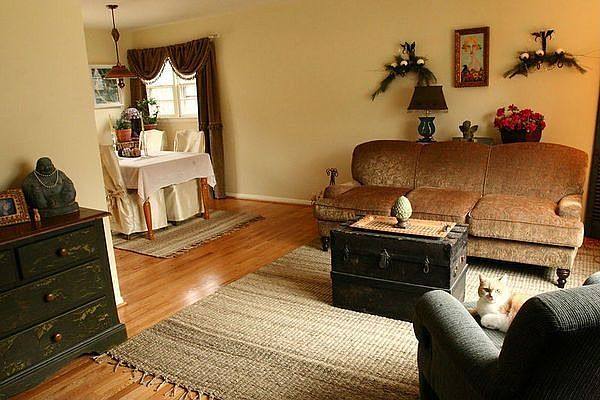 Living Room 1