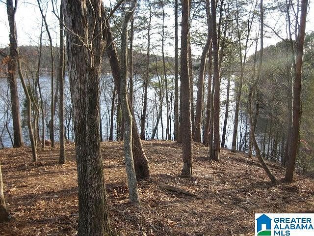 2nd image of Taylors Ferry Rd #1