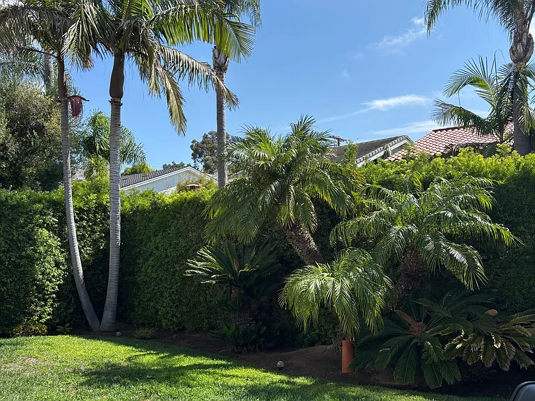 34052 Mazo Dr — Photo 42