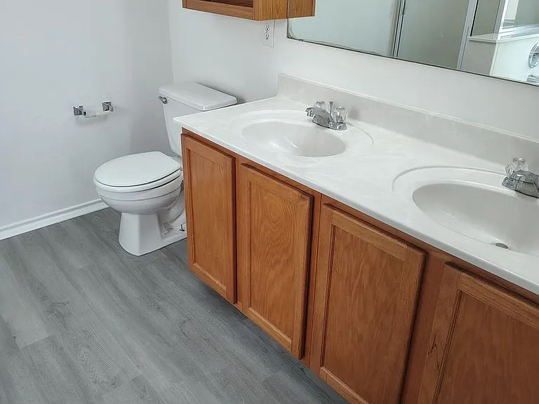 25714 Gold Yarrow — Photo 13