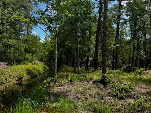 16 & 17 Cherry Road, Boiling Spring Lakes, NC 28461