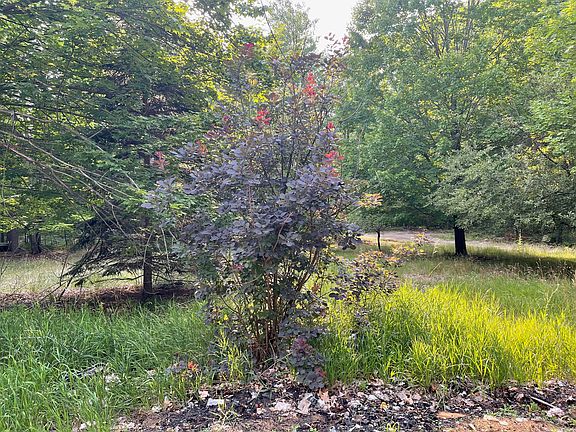 5th image of 7063 Mohawk Ave Lot 245