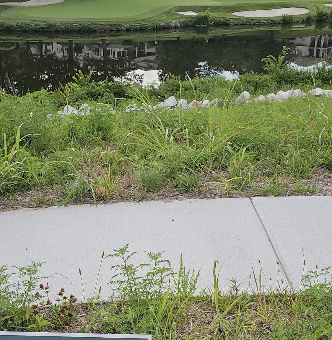 Lot 13 Vintage Pointe/Highland Spring