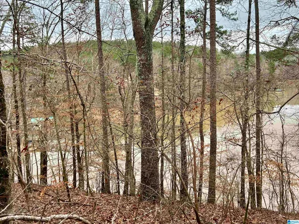 LOT 10 Knock About Ln Lot 10, Wedowee, AL 36278