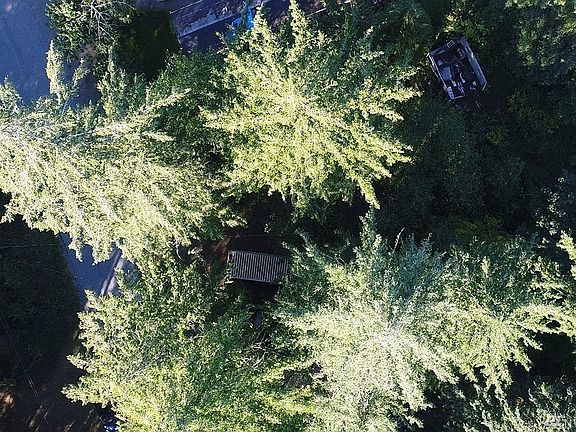 5th image of 101 W Satsop Dr