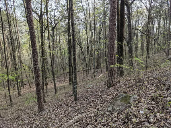 758 Montgomery Rd, Dayton, TN 37321