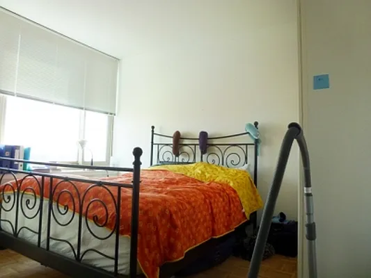 Rented by Citi Habitats | media 108