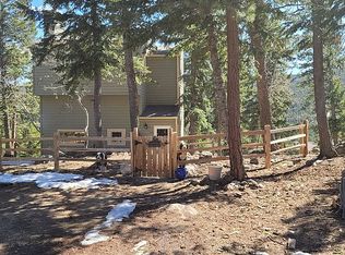 255 Raccoon Cir, Evergreen, CO 80439