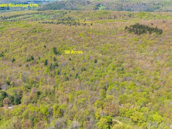 Sanly Rd #7, Sidney Center, NY 13839