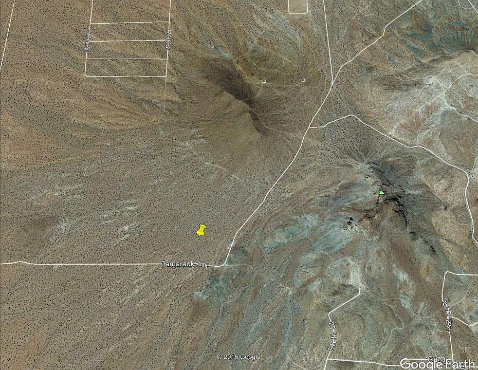 2nd image of Tamarack