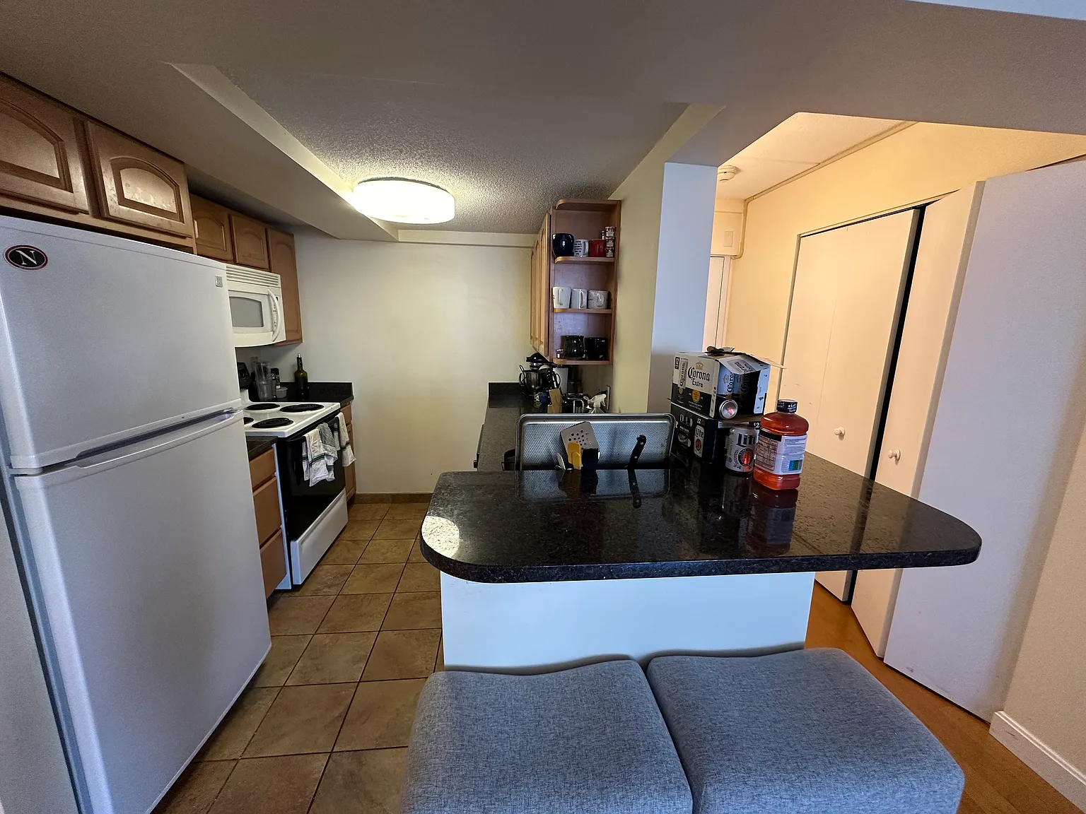 2 bed, 971 sqft, $4,000 — Photo 2