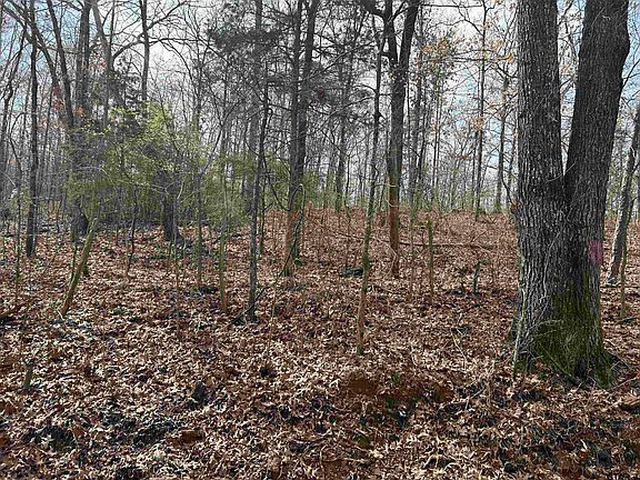 2nd image of County Road 490 W