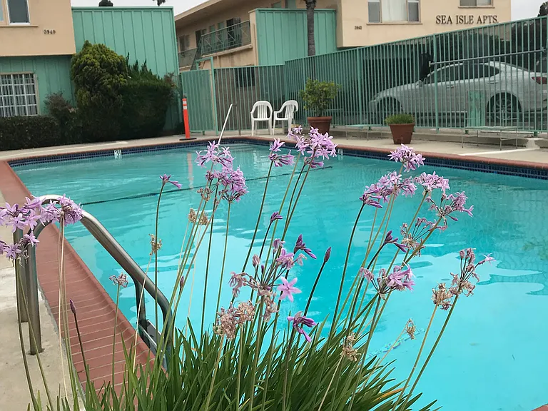 Sea Isle Apartments — Photo 6