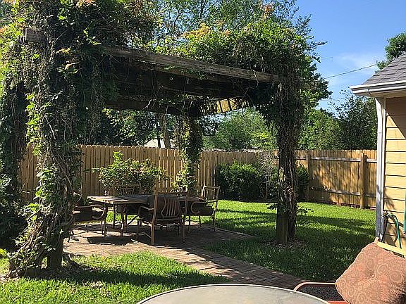 Back yard 