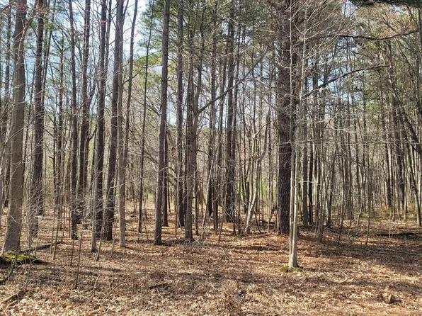 Forest Rd, Grasonville, MD 21638