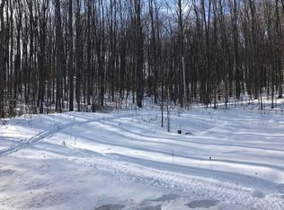 2135 Mount Tom Rd, Mio, MI 48647