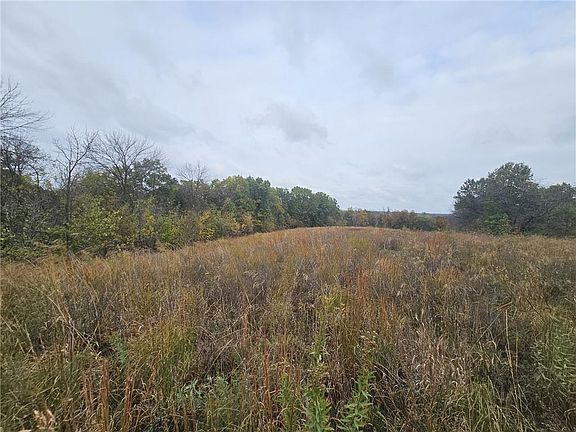 5th image of Faulk Rd